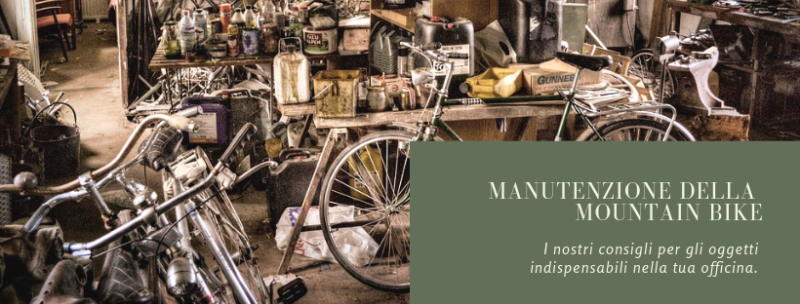 Manutenzione Mountain bike