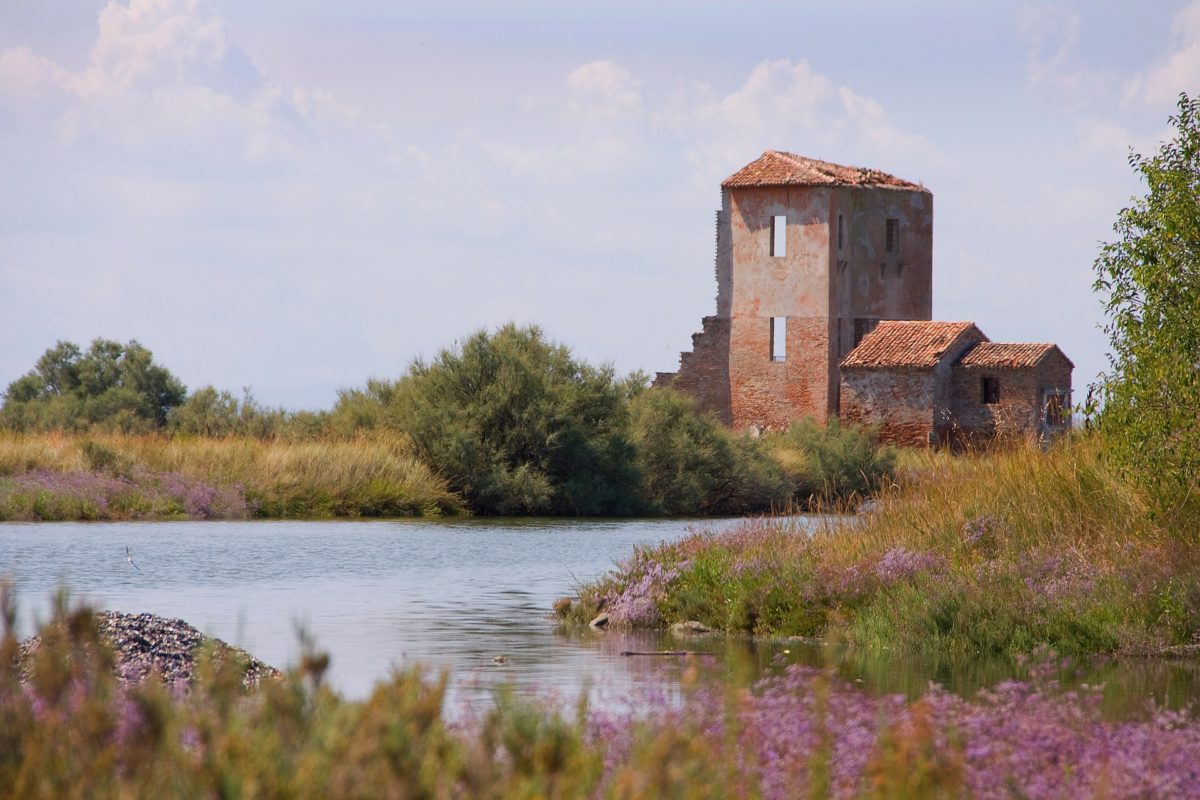 Percorsi MTB Emilia Romagna